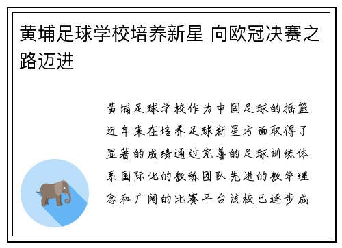黄埔足球学校培养新星 向欧冠决赛之路迈进