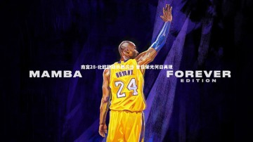 南宫28-北欧劲旅折戟沉沙 昔日荣光何日再现