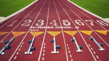 南宫28-抢眼表现引爆现场，运动员实力跻身第一，运动员ullrich